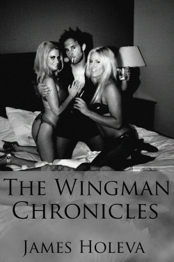 The Wingman Chronicles by James Holeva